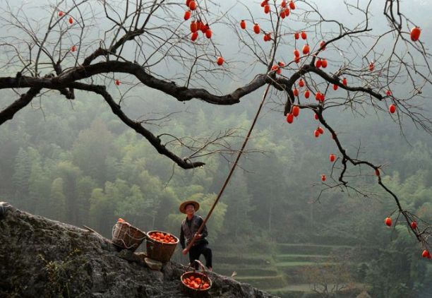 美文美图视频朗读,美文美图欣赏集锦