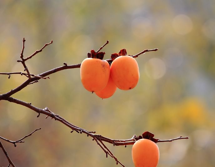 美文美图视频朗读,美文美图欣赏集锦