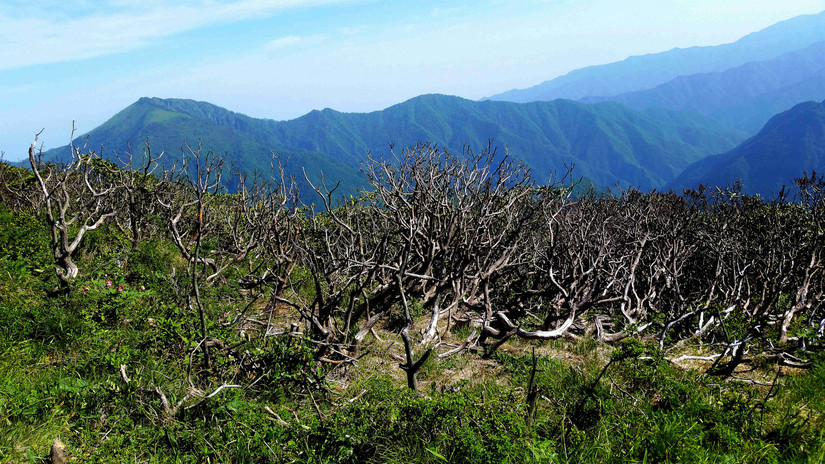 天华山-秦岭梁，又一条风景秀美的一日劲走线路
