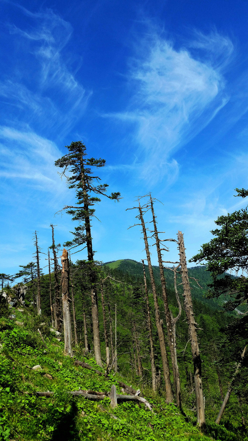 天华山-秦岭梁，又一条风景秀美的一日劲走线路