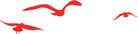 中国恒天suv报价,中国恒天汽车越野车价格