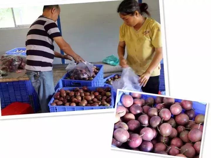 肇庆未来发展看哪里,广东肇庆最新通报