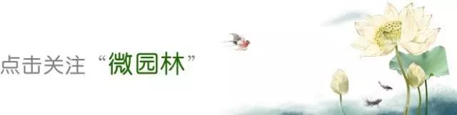 中华名园有哪些,中国名烟大全