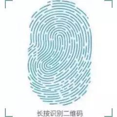 体育中心看展菊,运动公园菊展