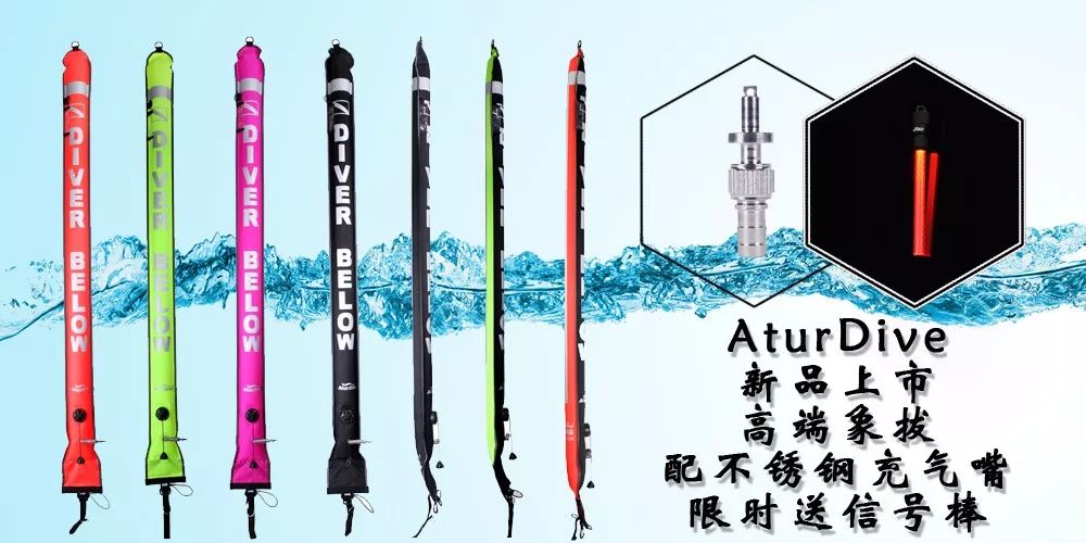 怀孕了潜水有什么影响,准备备孕可以去潜水吗