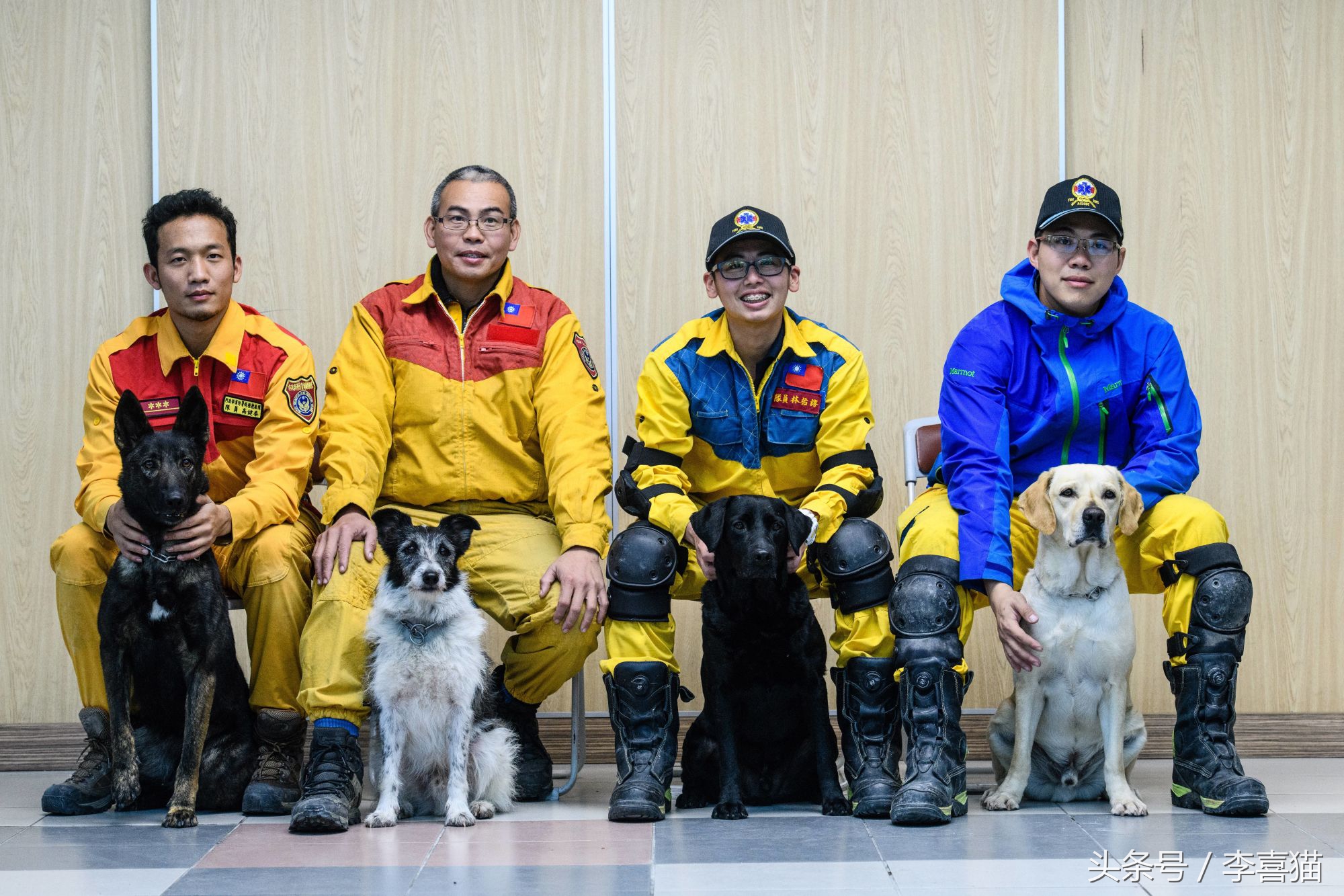 地震狗狗救人感动视频,北京地震瞬间宠物狗全程安睡