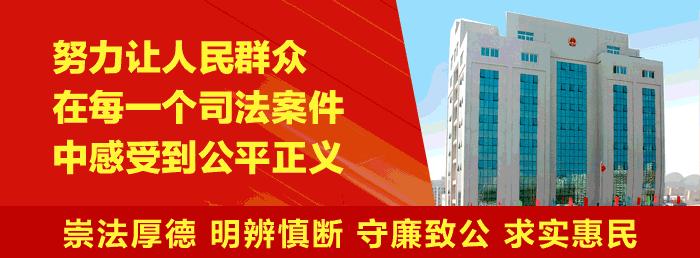 执行利剑内容简介,执行利剑啥意思