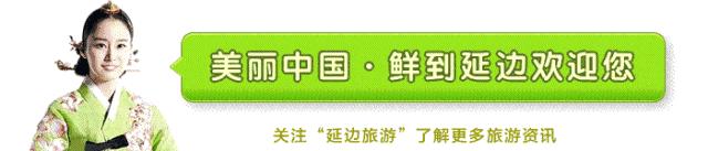 欣赏各地区元宵节的活动,元宵节地区特色活动