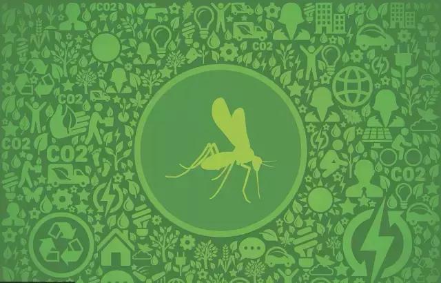 天热了怎么有效驱蚊子,天热驱蚊虫方法