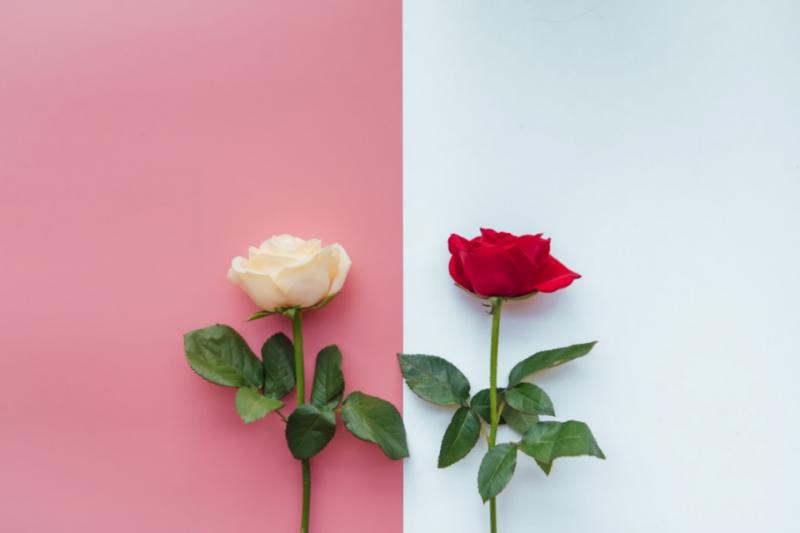 如何快速从失恋中走出来搞笑版,失恋后怎么快速走出来