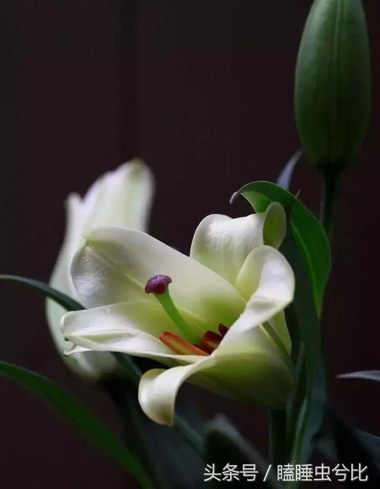 母亲节送妈妈什么礼物比较实用,母亲节送给妈妈应该送几枝花