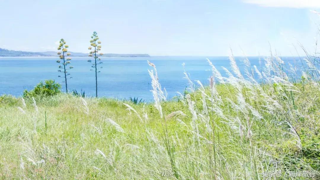 厦门最好的火山岛,厦门海岛火山岛