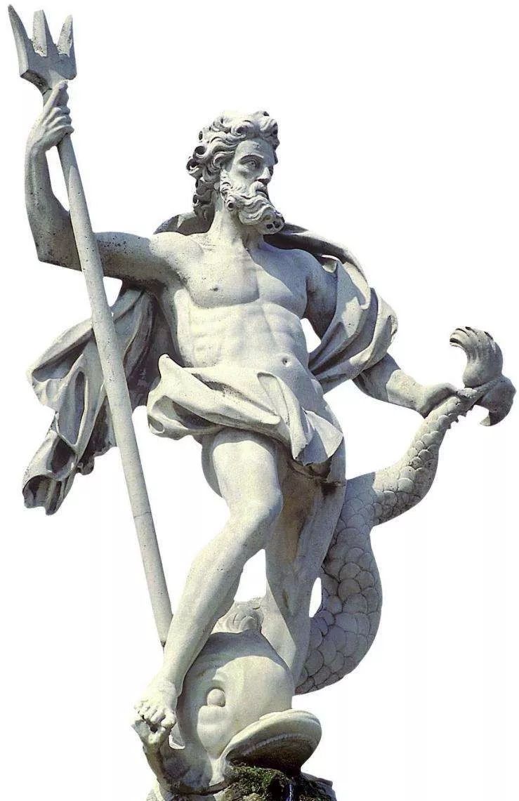 鸟和人类基因相似度多少,鸟和猫的智商哪个高