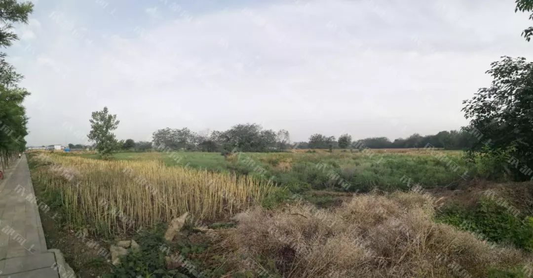 打通断头路小半年后，大源西现在怎么样了？