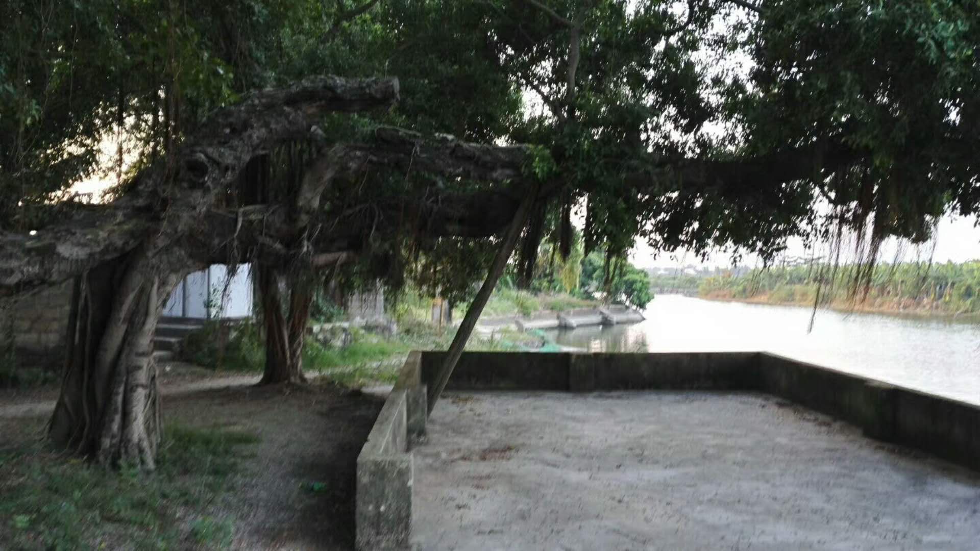 揭阳榕城古城,揭阳榕城搬家