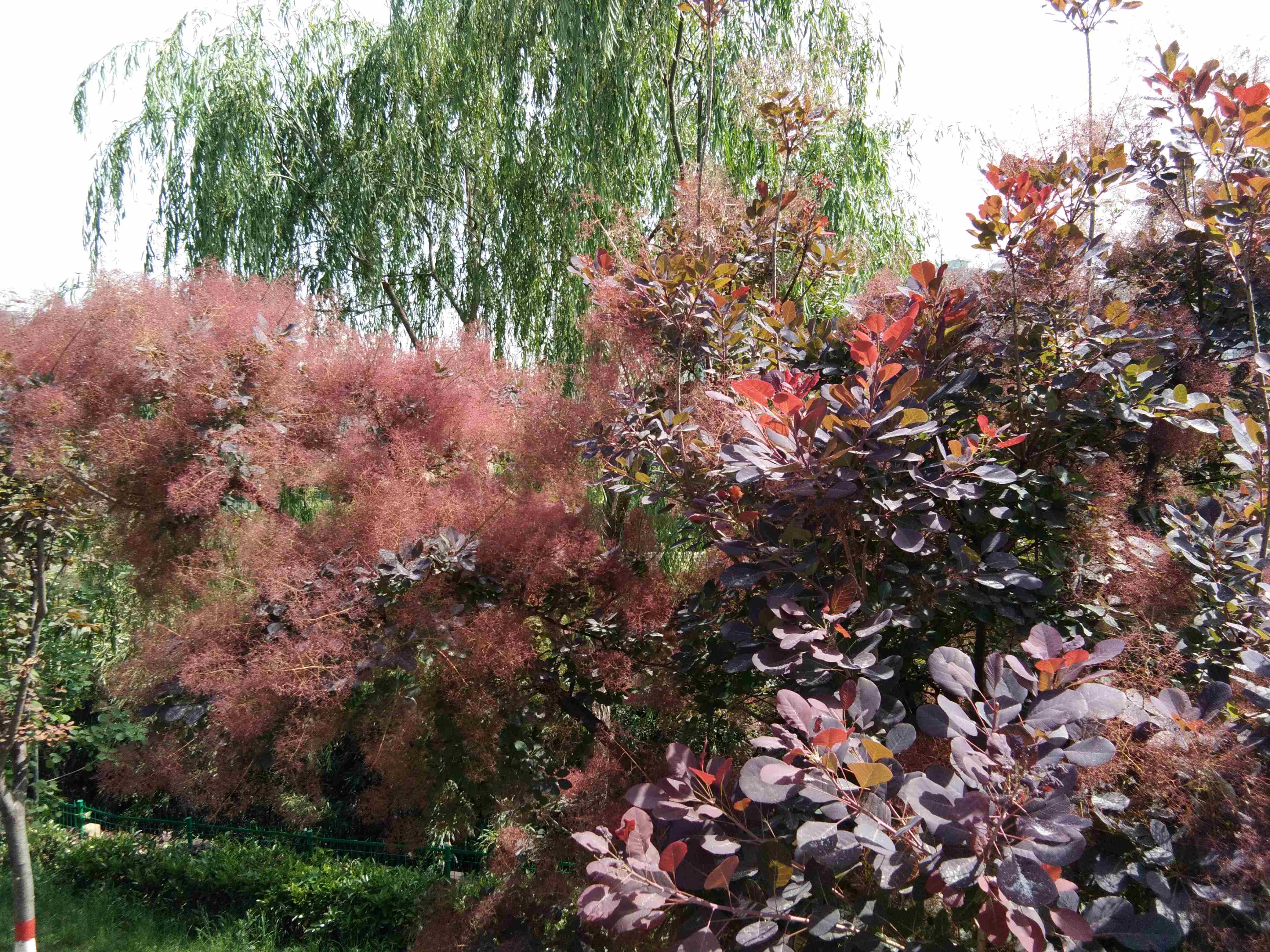 脚踏汉城湖公园全程!感受汉武辉煌!