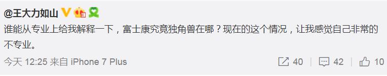 富士康上市得失,富士康今日招股说明书