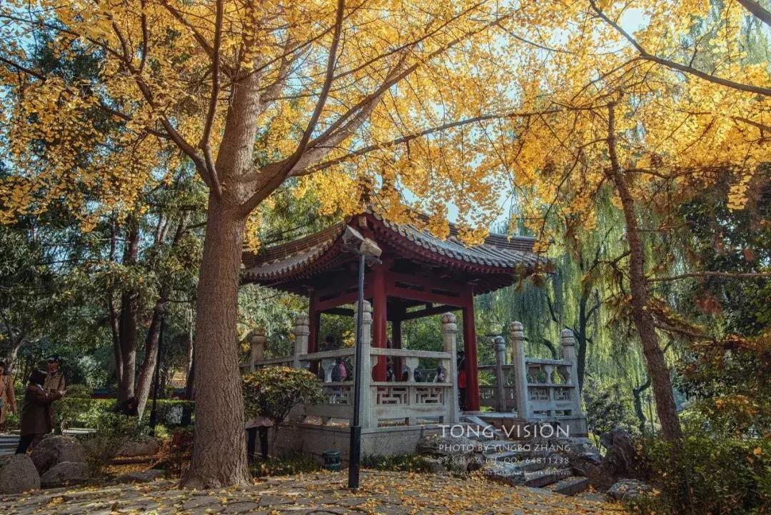 妖猫传电影中最美的片段,电影妖猫传长安的图片