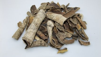 易读错中药名看看你认识几种,这些高雅中药名的真面目你知道吗