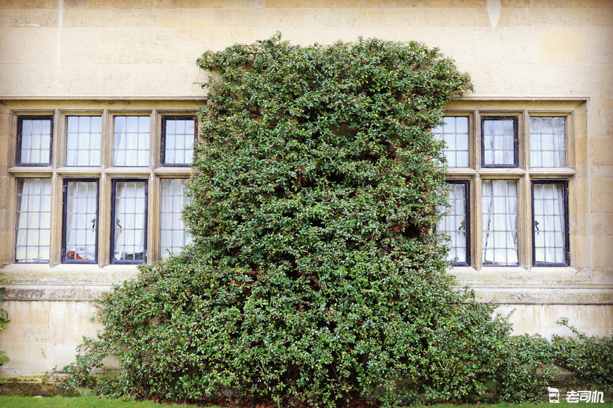 英国剑桥的康桥,英国剑桥大学的康桥