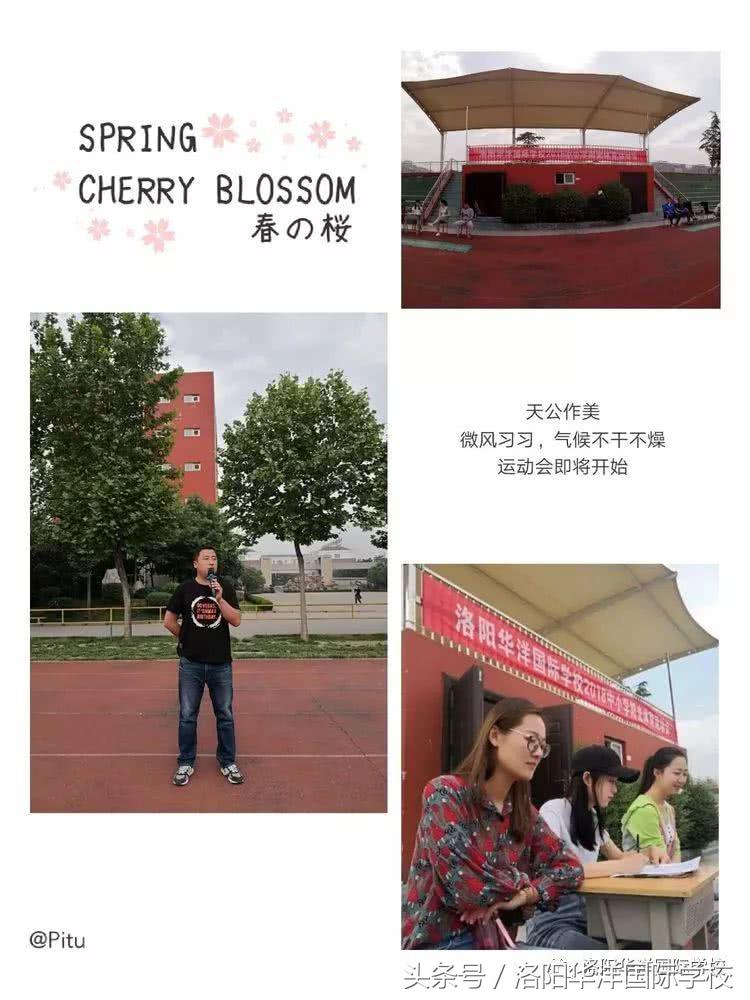 激情自赛道起飞梦想因拼搏成真