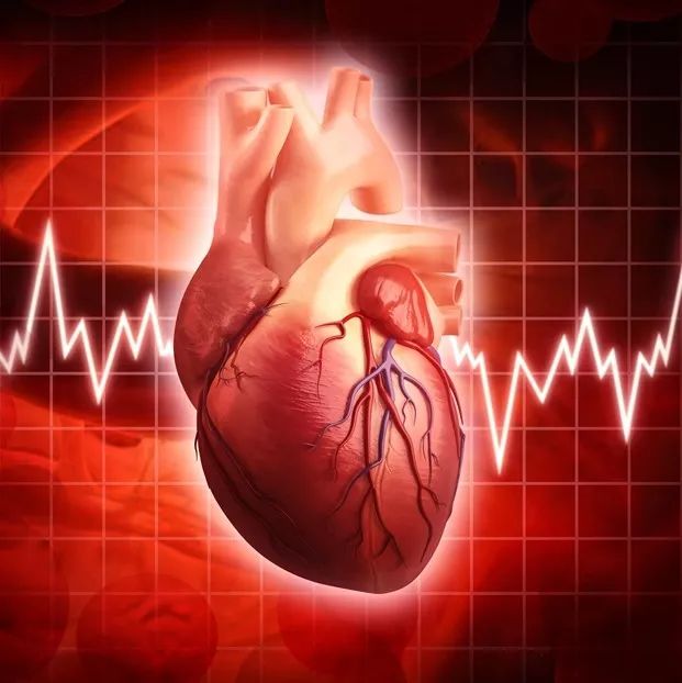 40岁的女人心跳加速什么原因,40岁女性心跳莫名加快心慌