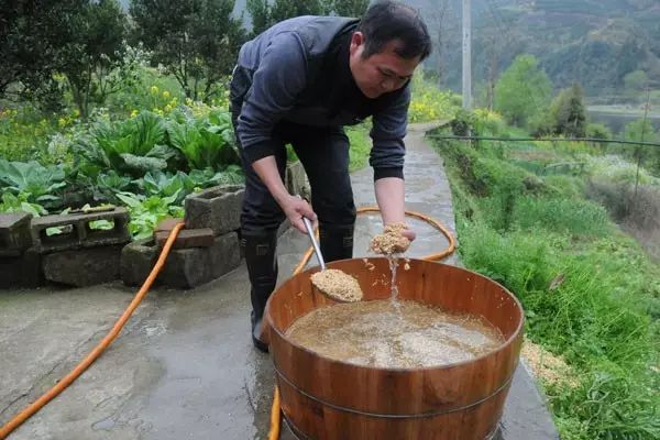 都叫芸苔素内酯，为什么差别那么大？应该正确认识！