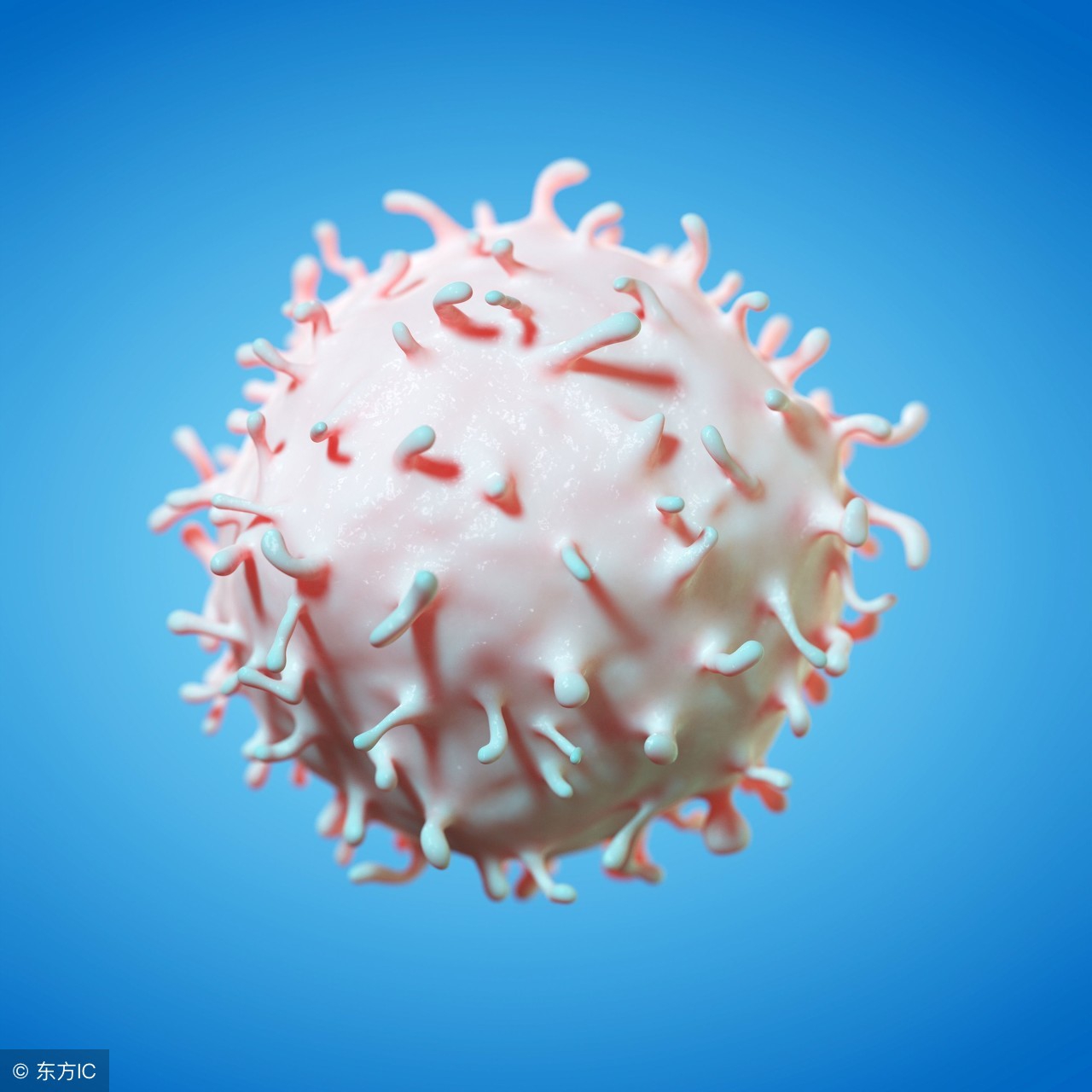 多家上市公司积极布局干细胞领域干细胞概念股望迎利好（名单）