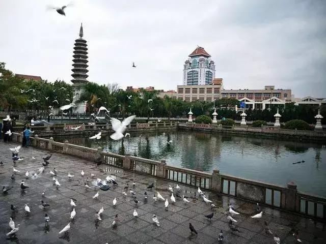 厦门旅游自由行5天4夜最佳方案,厦门旅游攻略5天四夜自由行