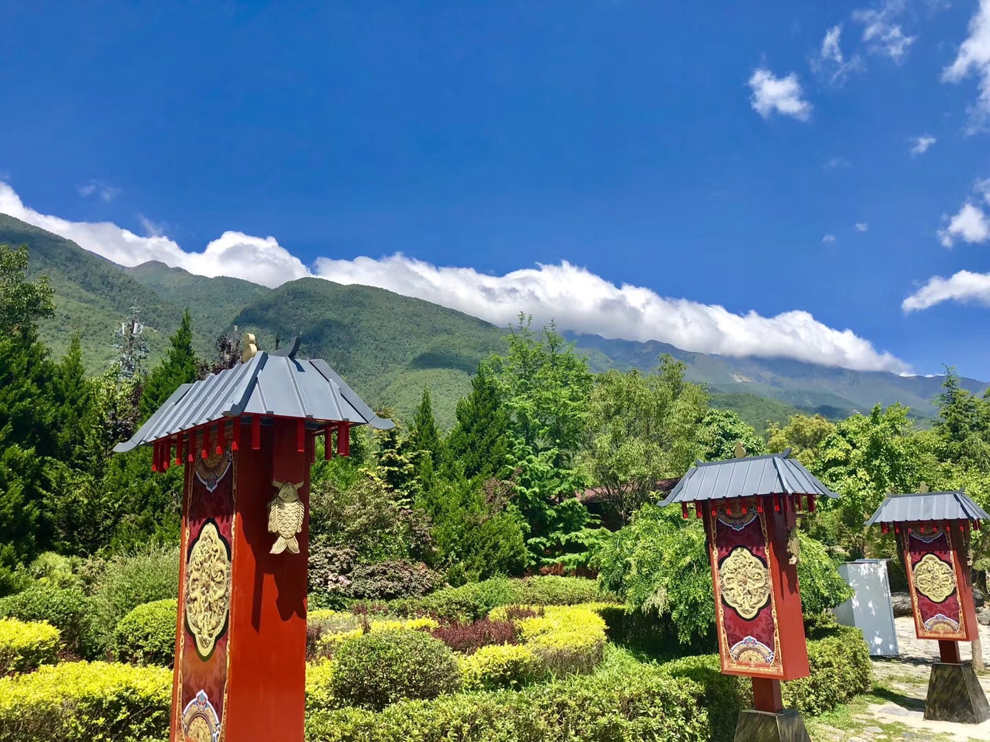 旅行就是心甘情愿花着钱受着罪,旅行只是为了找回自己