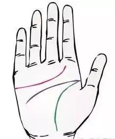 手诊了解一个人的性格和健康,十个最简单的手诊图