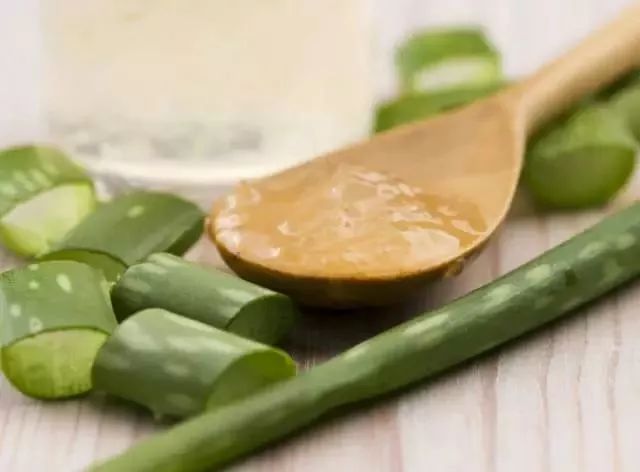 家里养一盆钱兜好吗,家里养一盆花就挺好