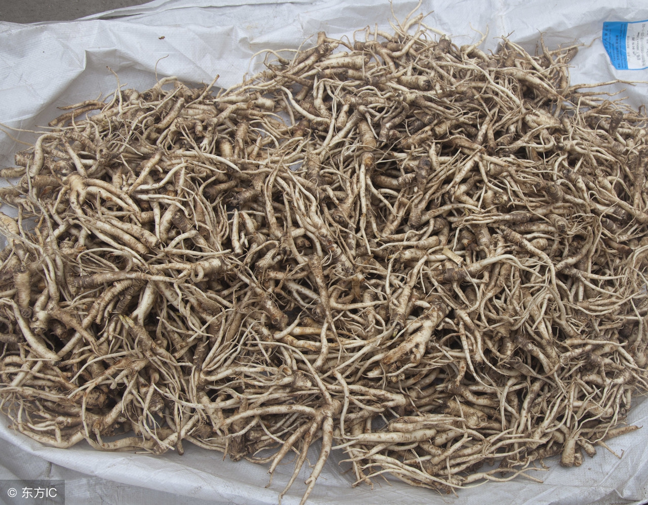 有效缓解口腔溃疡的食物,适合口腔溃疡吃的食物