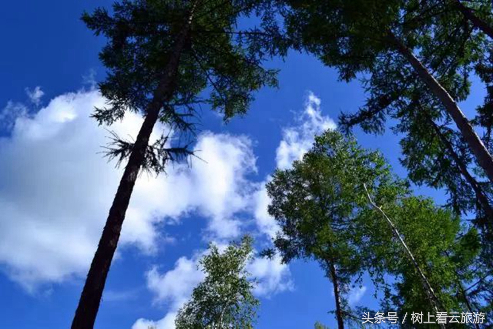 伊春最值得去的地方,伊春最美的风景