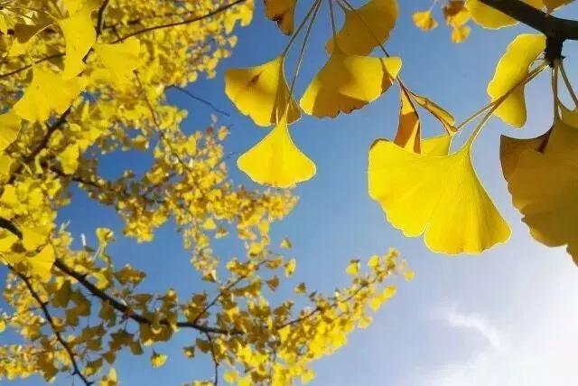 有人问你在上班吗怎么幽默回复,金牛说工作刚忙完怎么回