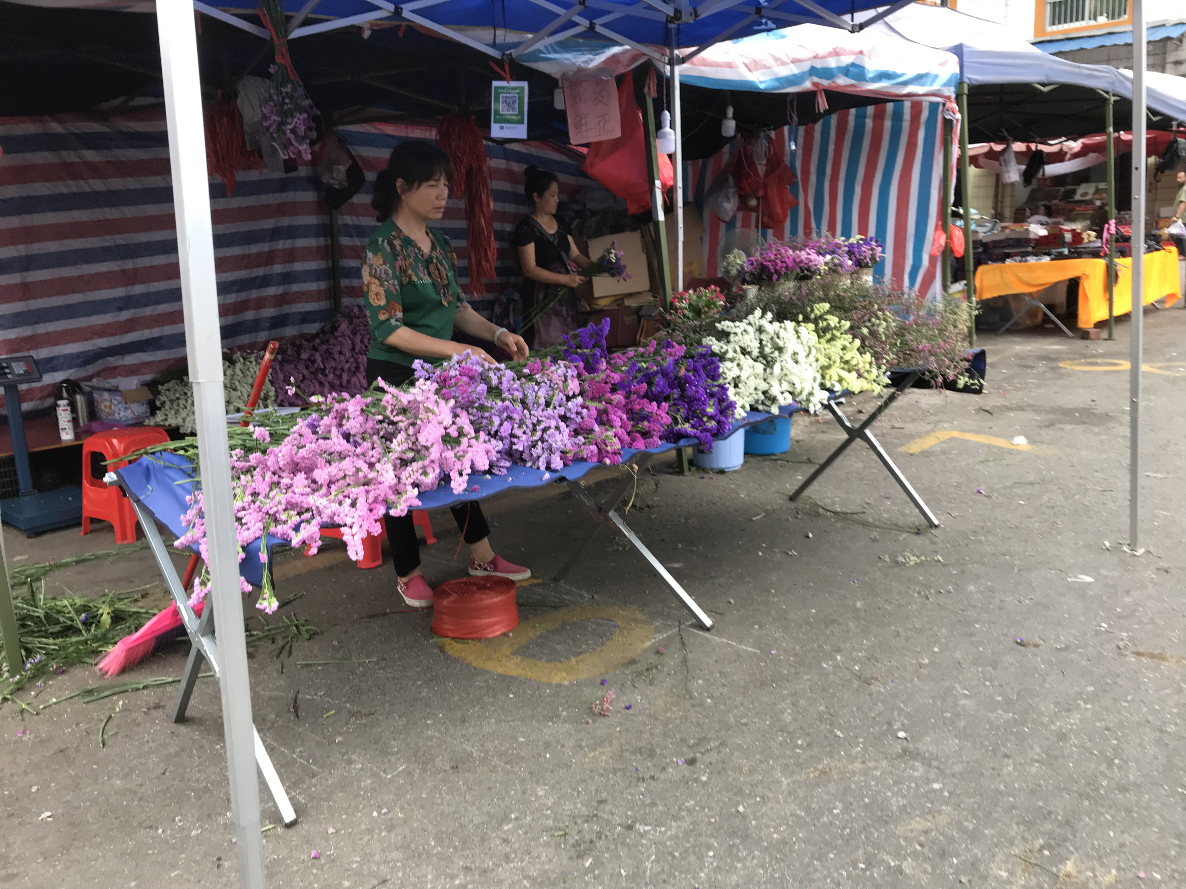 南宁金陵镇水果批发市场今日行情,南宁火车站水果批发市场在哪里