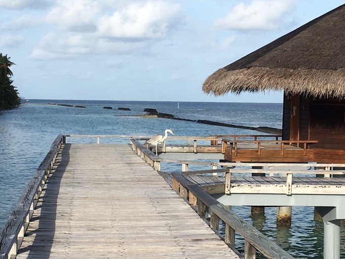 马尔代夫梦境岛,马尔代夫梦幻之地