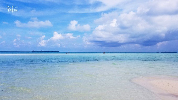 帕劳浮潜一次大概多少钱,帕劳浮潜穿泳衣还是泳裤