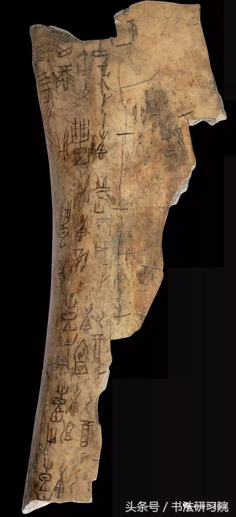 甲骨文书法名家作品欣赏,中国书法甲骨文视频大全