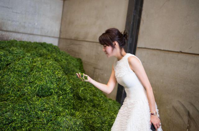 honeydew浜у湴,honeydew铚傝湝