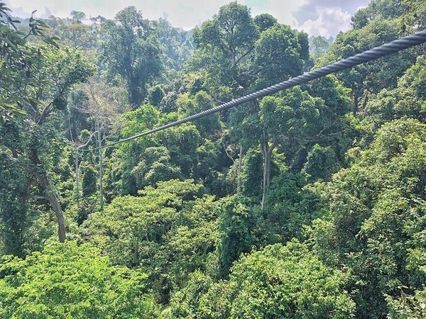 泼水节旅游详细攻略,泼水节应该去曼谷还是芭提雅