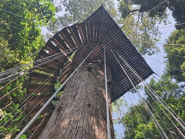 泼水节旅游详细攻略,泼水节应该去曼谷还是芭提雅
