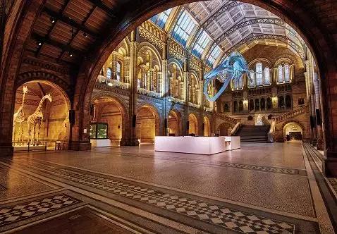 乐享全民刷馆｜跟罗熹去英国自然历史博物馆