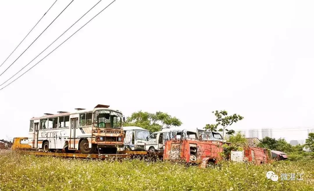 湛江人记忆中的美食,湛江老字号品牌有哪些