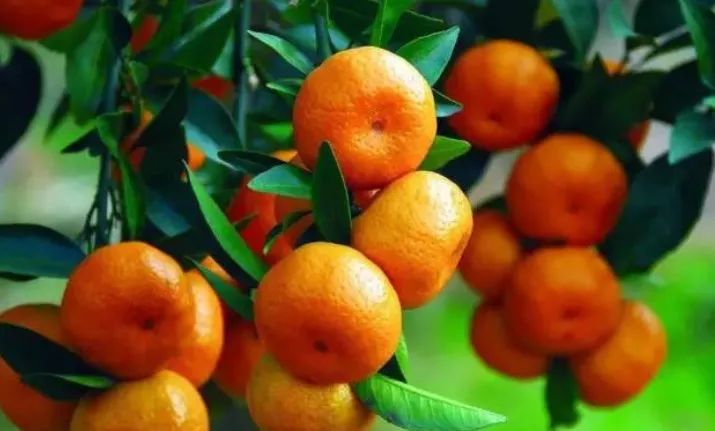 成功了！淮南又有了一张国字号新名片！