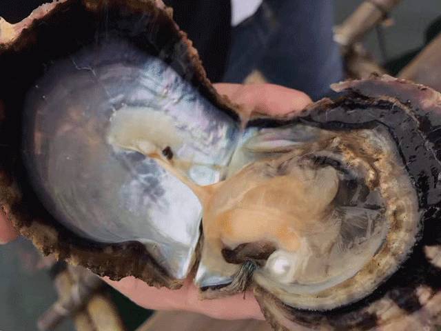 大卖45000瓶！涂上自带美颜的神器，白成一道光~