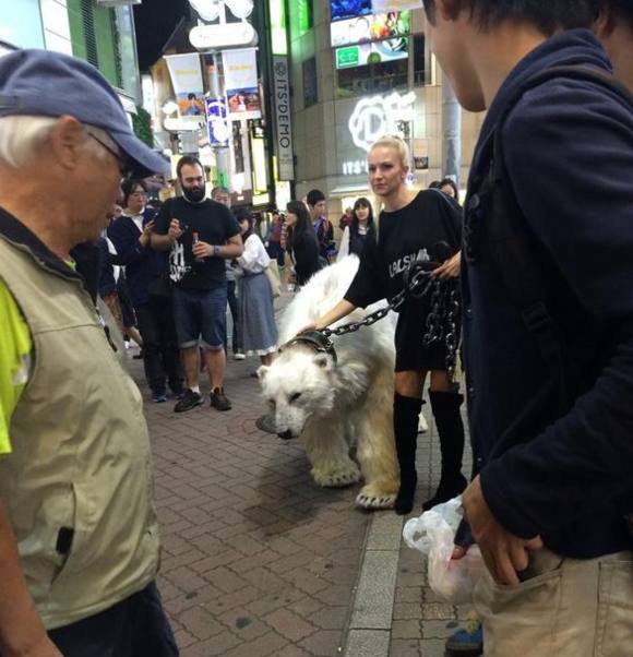 震惊世界的奇葩宠物,外国人养的奇葩宠物