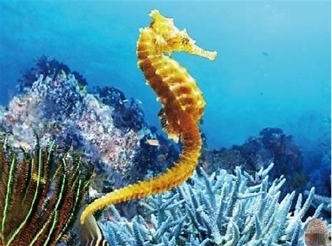 补肾养肾10个最有效的方法,怎样补肾精最快最有效的方法