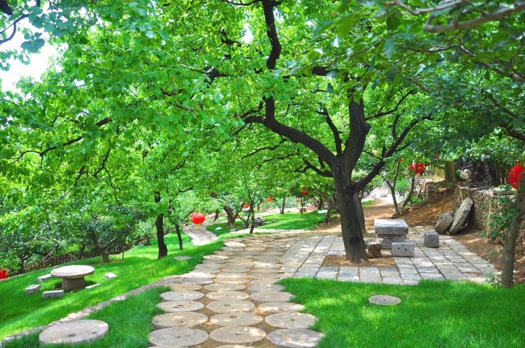 端午节我们要划龙舟还要干什么呢,端午节划龙舟的地方在哪里