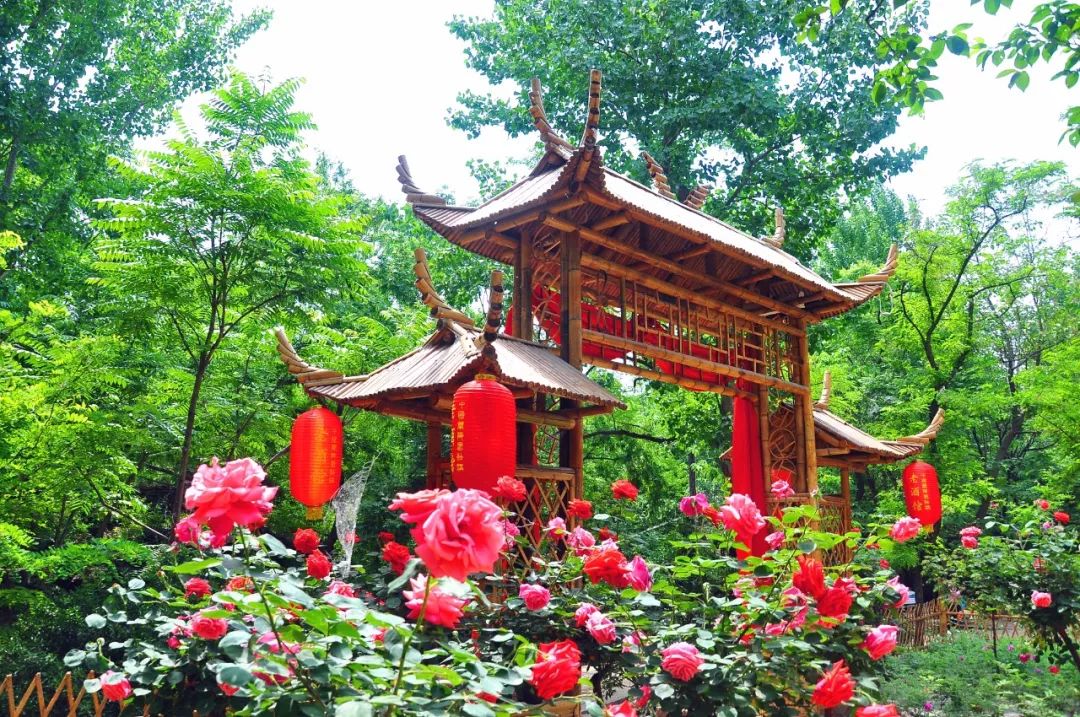 端午节我们要划龙舟还要干什么呢,端午节划龙舟的地方在哪里